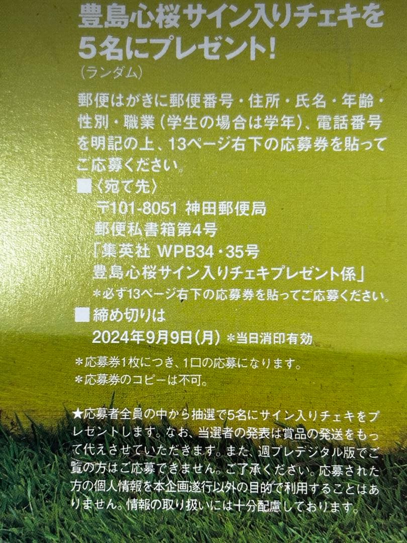 ☆豊島心桜☆ 週刊プレイボーイ 直筆サイン入りチェキ プレゼント応募