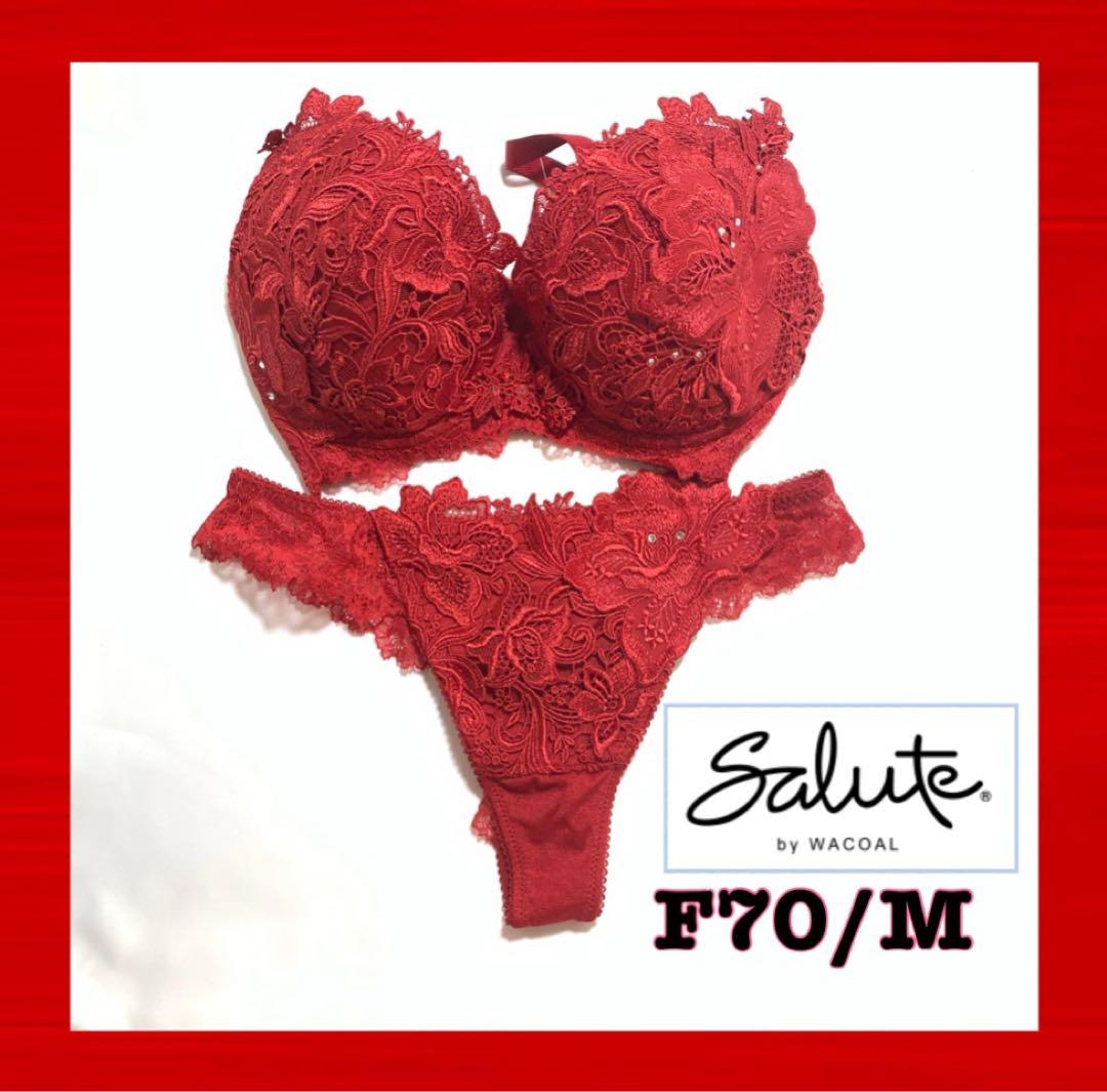 サルート salute ブラジャー Tバック F70/M 総刺繍　スワロフスキー