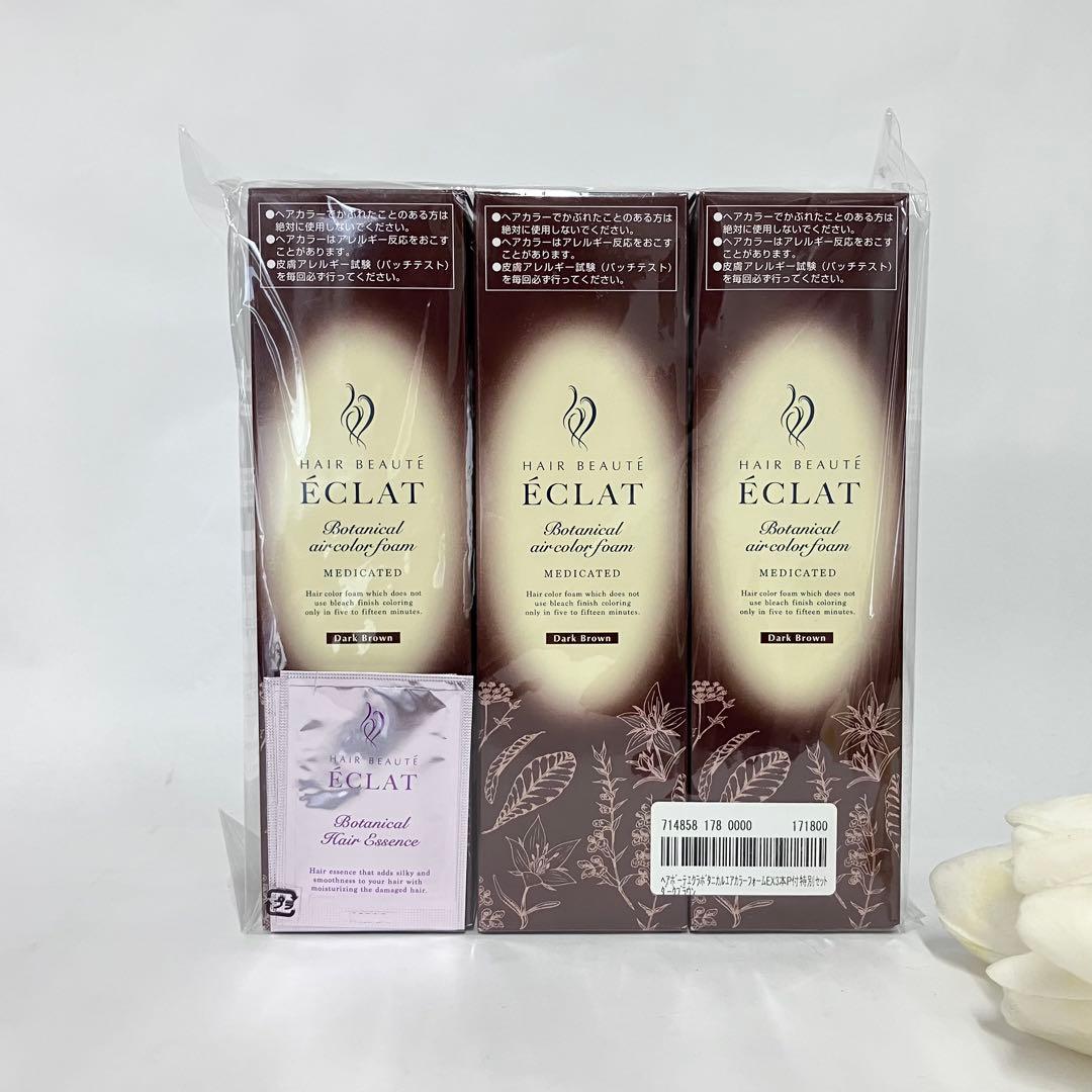 ヘアーボーテ エクラ エアーカラーフォームEX ダークブラウン 150g 3個 大容量 ヘアボーテエクラ ボタニカル エアカラーフォーム EX ダーク