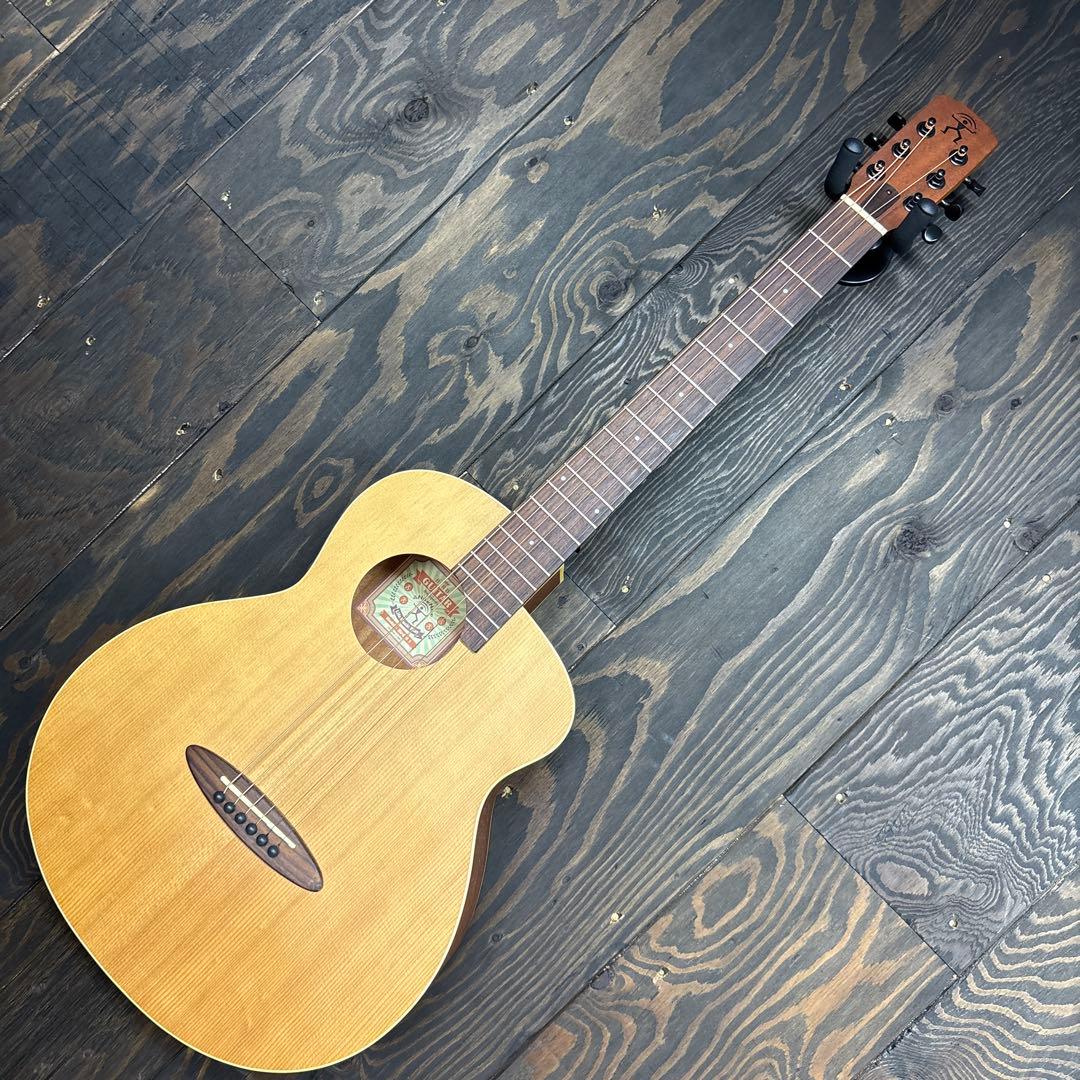 aNueNueアコースティックギター