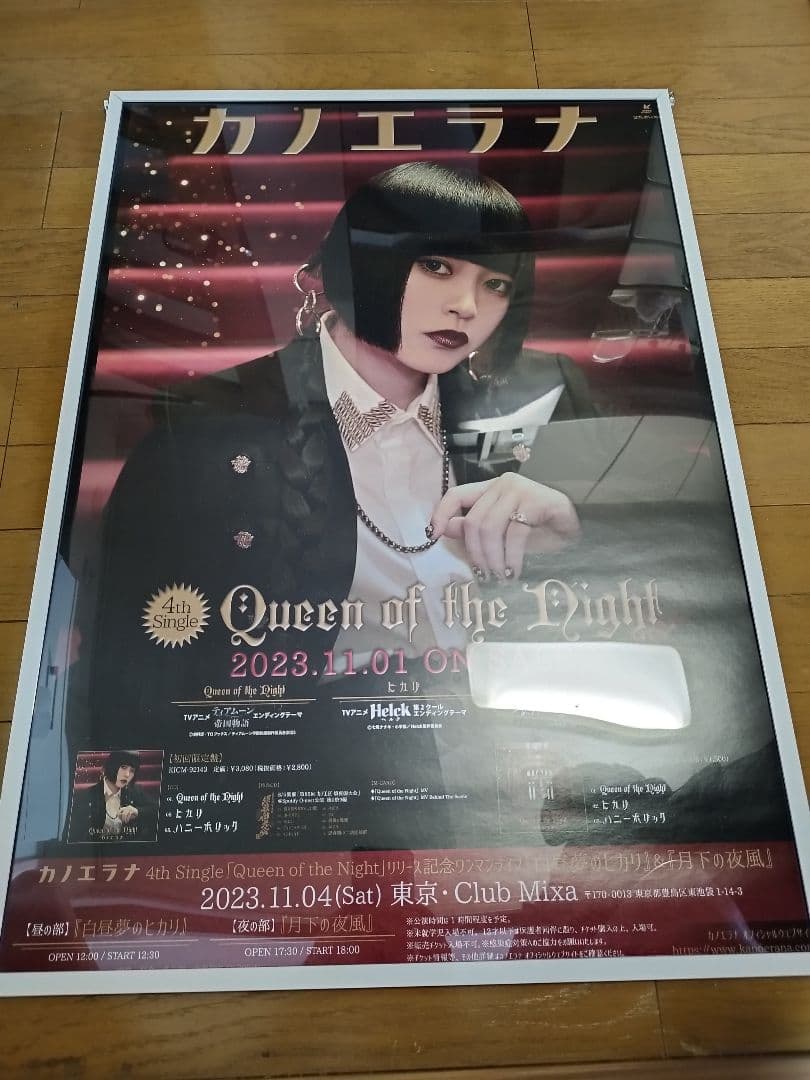 カノエラナポスター