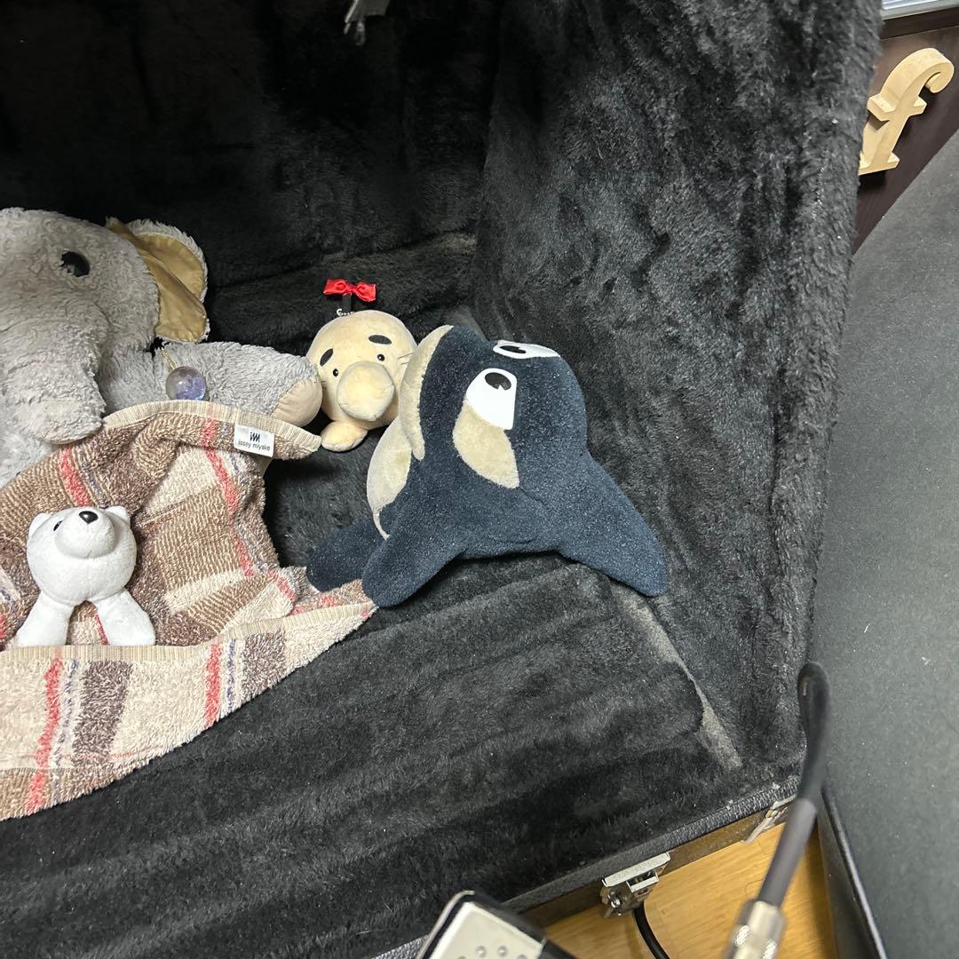 シャチのぬいぐるみ すてれっぱつシャチぬいぐるみ : 鴨川シーワールドオルカショップ