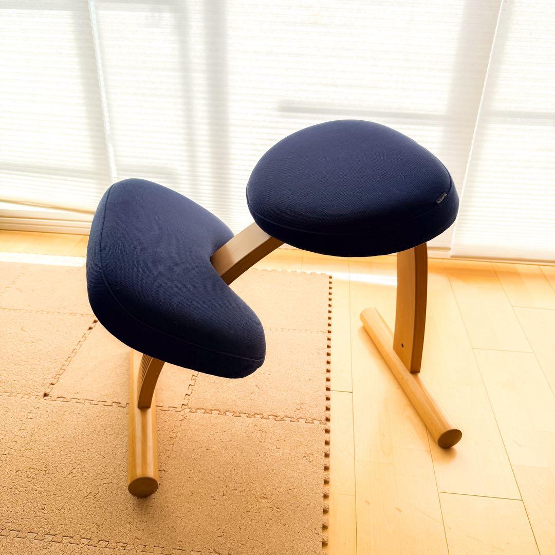 【〜12/16特価】バランスチェア イージー／カバー使用品