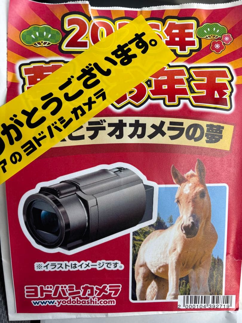 ヨドバシ　夢の箱福袋夢 ‼️Sony ソニー Handycam FDR-AX45Ａ 新品 4Kビデオカメラの夢 Sony ソニー Handycam FDR-AX45 夢のお年玉箱