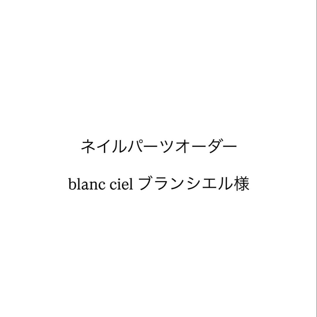 【専用】ブランシエル様