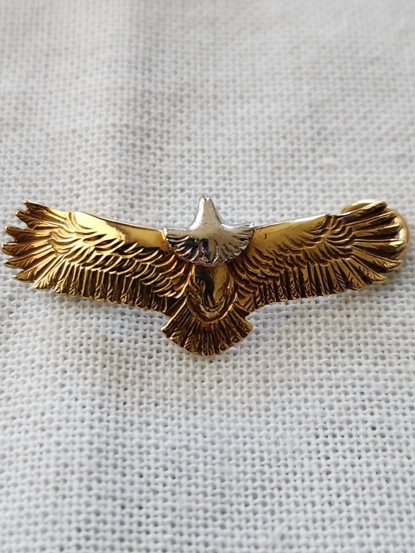 ⭐ちゃむ様専用⭐ ケンキクチ 全金 イーグル - メルカリ