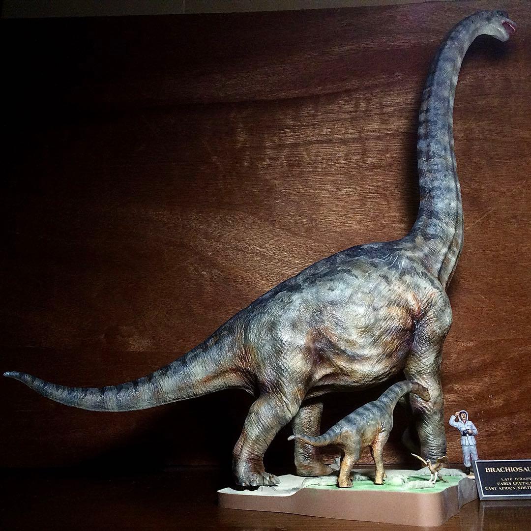 タミヤ ブラキオサウルス 情景セット 完成品！ - メルカリ