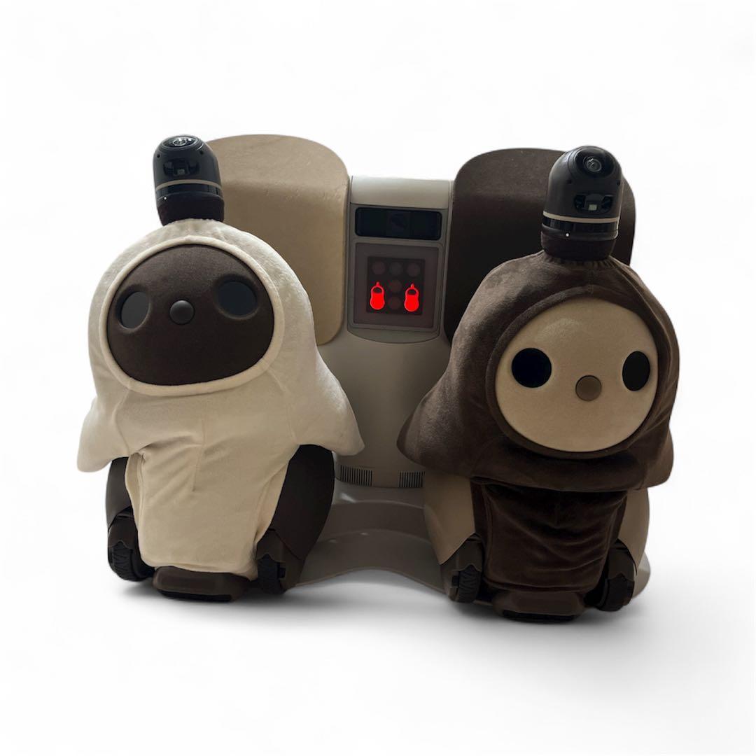 LOVOT 　初代 デュオ　2020年頃購入