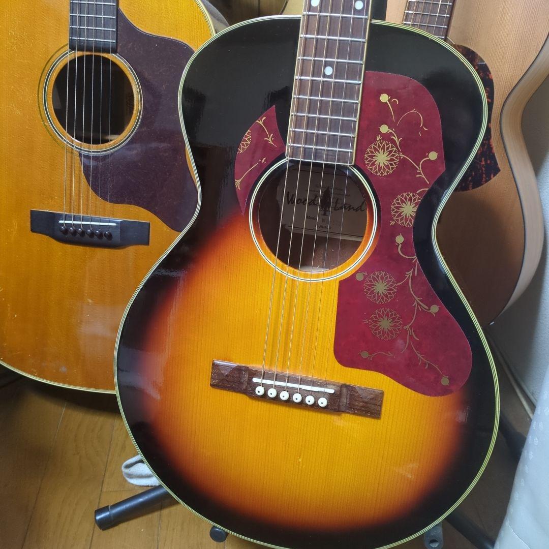 Wood Land エレアコ、 パーラーギター.WL-5