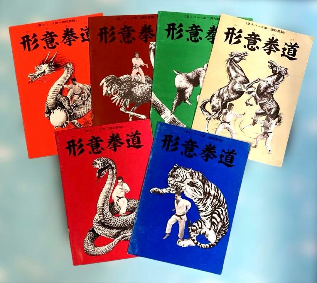 中国拳法大講座 本 - メルカリ