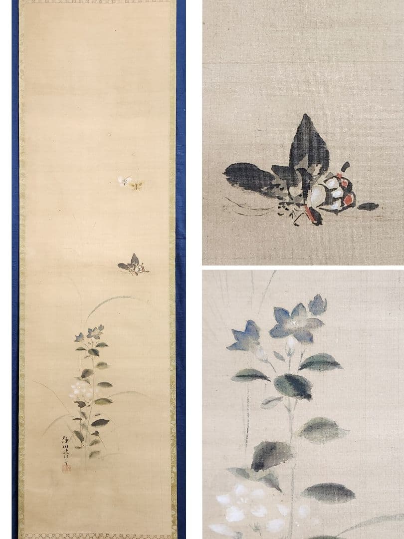 【桔梗に蝶々図】狩野伊川院栄信 2696 江戸狩野派 古画 掛け軸 肉筆 狩野伊川院栄信 牡丹猫図｜古美術・掛け軸の販売・買取・鑑定-松本松栄堂