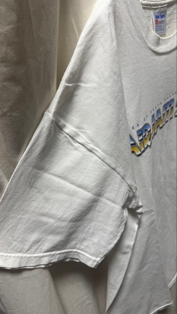 Hi-STANDARD AIR JAM 2000 tシャツ ホワイト Lサイズ - メルカリ