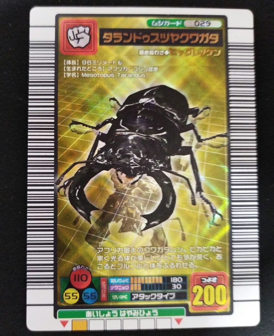 甲虫王者ムシキング タランドゥスツヤクワガタ - メルカリ