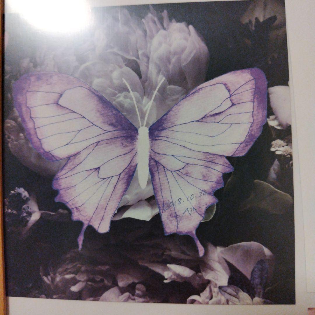 ”soleil et pluie“ Aimer 直筆サイン入アナザージャケット Aimer Official Web Site | NEWS