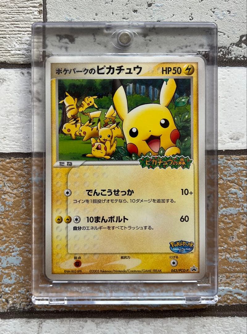 ポケパークのピカチュウ　ポケモンカード ポケパークのピカチュウ [ポケパークプレミアムファイル フォレスト