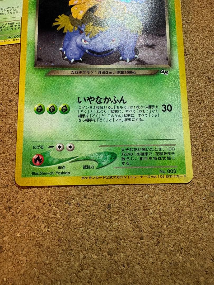 わるいフシギバナ & わるいフシギソウ セット - メルカリ