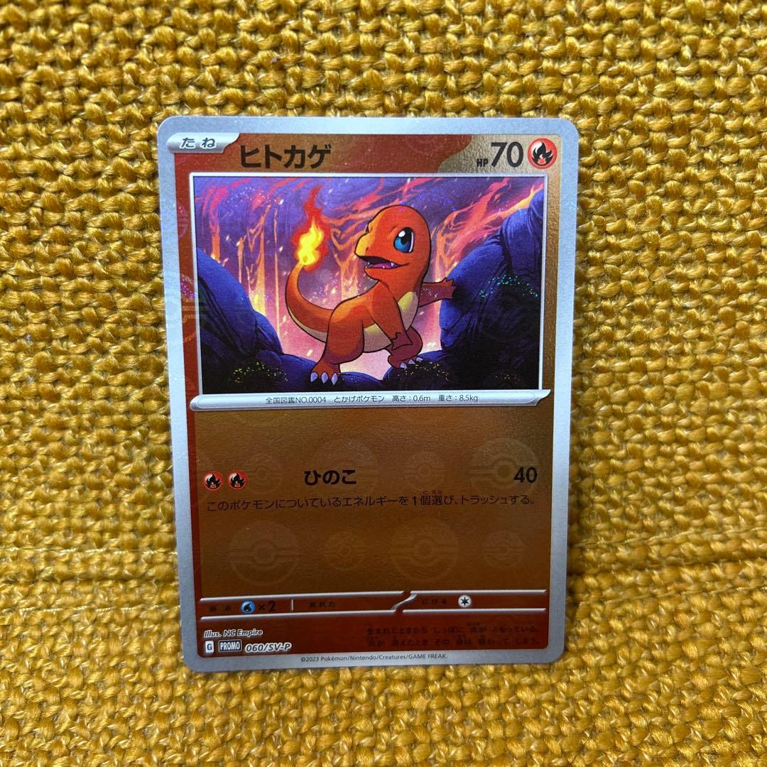 ポケモン 151カードファイルセットプロモ ヒトカゲ ゼニガメ