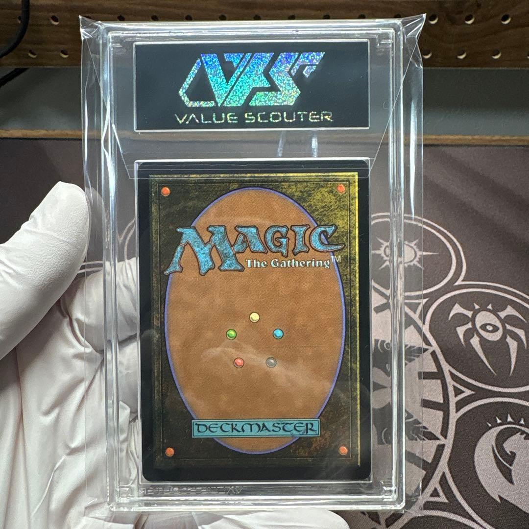 分岐する嵐、アラニア VSS鑑定品｜分岐する嵐、アラニア VSS鑑定品 分岐