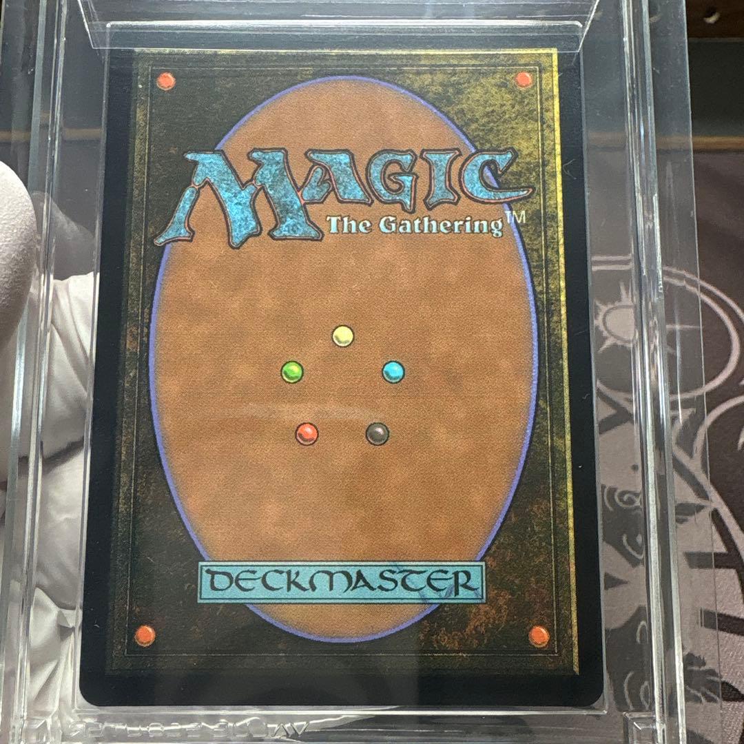 分岐する嵐、アラニア VSS鑑定品｜分岐する嵐、アラニア VSS鑑定品 分岐