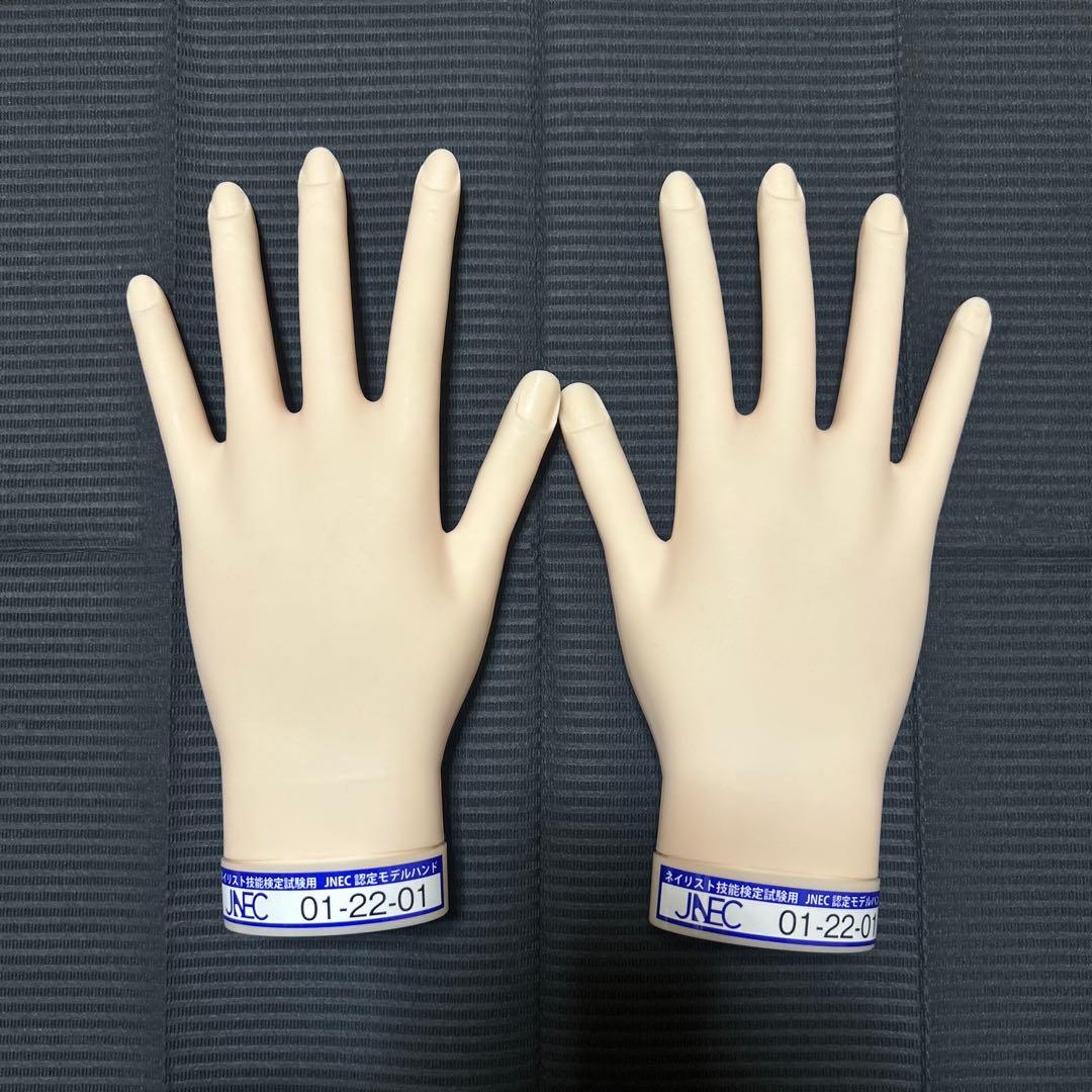 JNEC認定モデルハンド　ネイリスト技能限定 楽天市場】JNEC認定 STモデルハンド 左手 チップ差込式(ネイルチップ