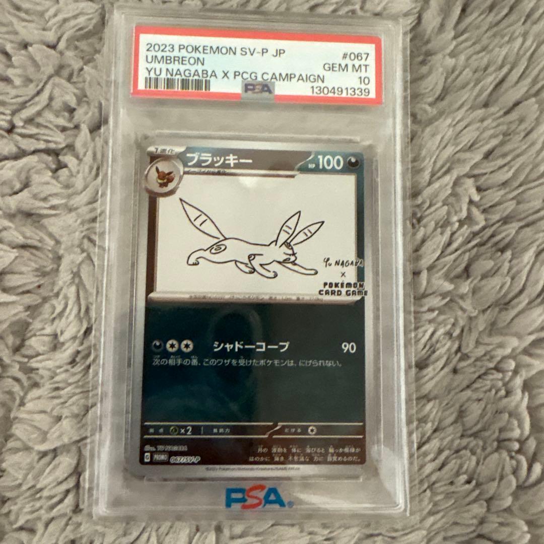 ブラッキー　プロモpsa10