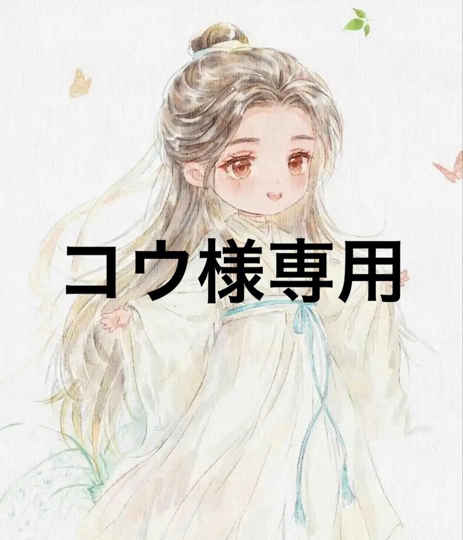 コウ CORSA-EVOⅡ スリップオン：ZX-4RR / ZX-4R SE：2023〜：政府認証 ｜ BEAMS