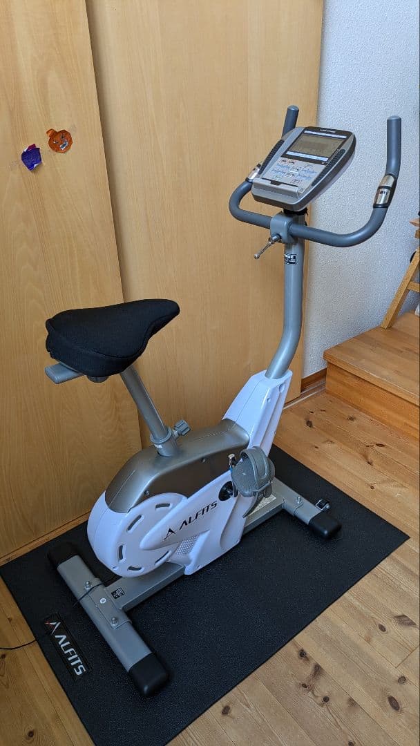 【kayayoka専用】美品 アルインコ AFB6117 プログラム バイク