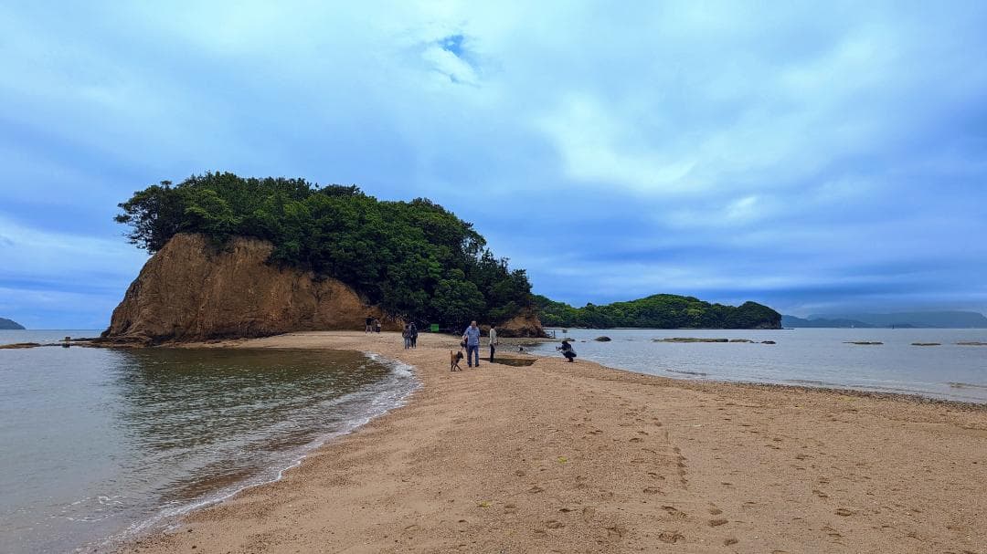 プロフ必読さん専用完売_瀬戸芸パス＆公式本セット_迷わずこのセット