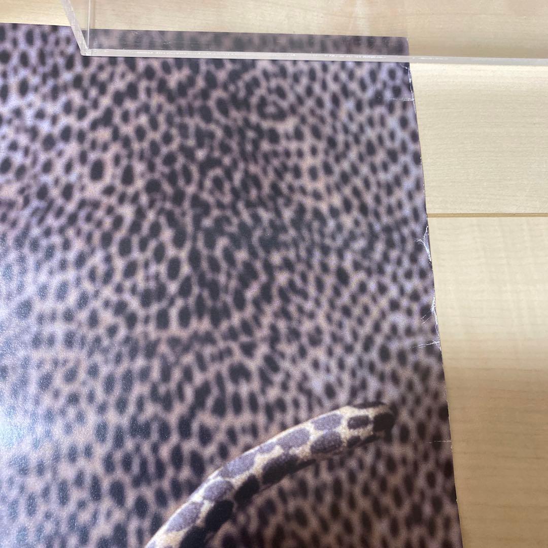 浜崎あゆみ ayumi hamasaki ポスター 豹柄 ヒョウ柄 レオパード - メルカリ