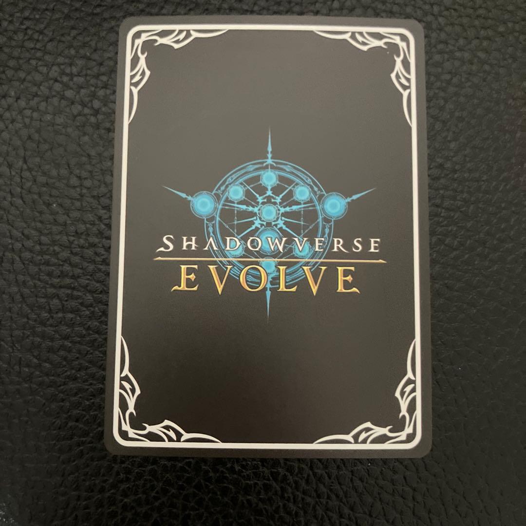 シャドウバースエボルヴ ランファ&ミソラ UR - メルカリ
