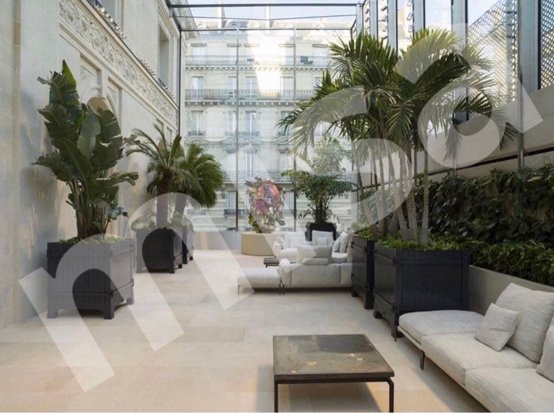 《Dior》ディオール　メゾン クリスチャン ディオール　サクラ　250mL