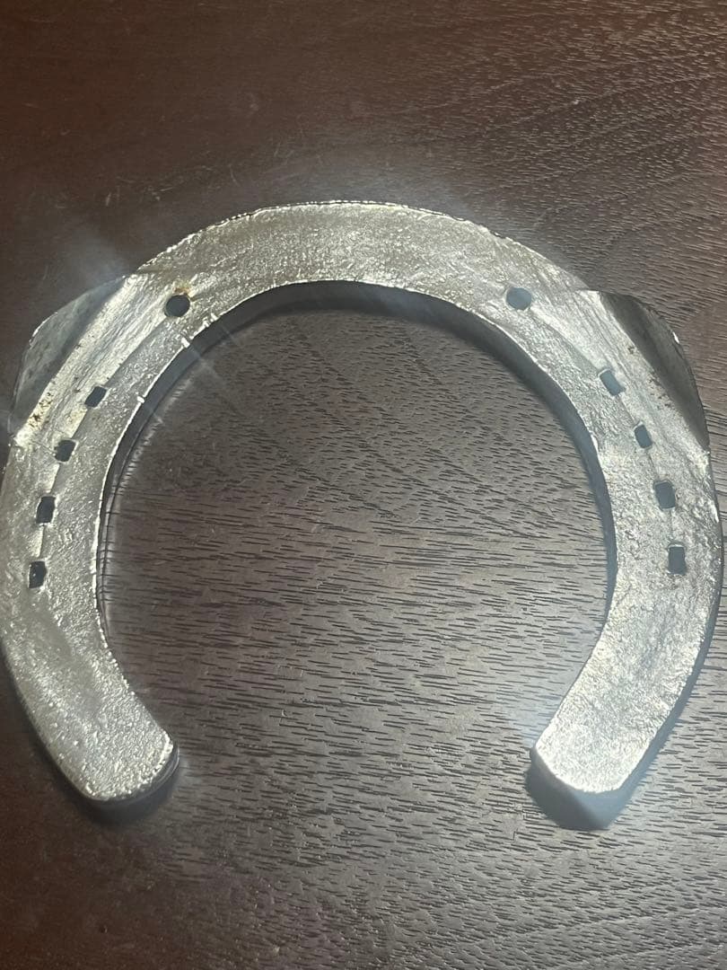 優駿スタリオンステーション オグリキャップ 蹄鉄 - メルカリ