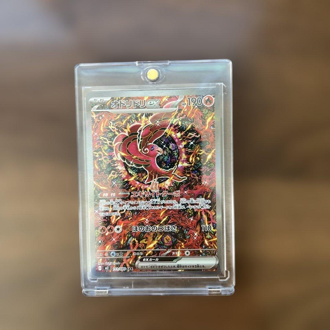 オドリドリ　SAR