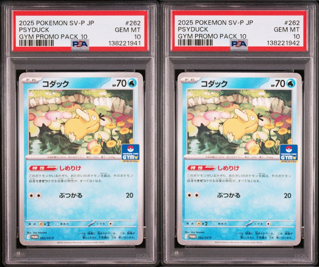 PSA10 コダック ジムプロモ ⑤