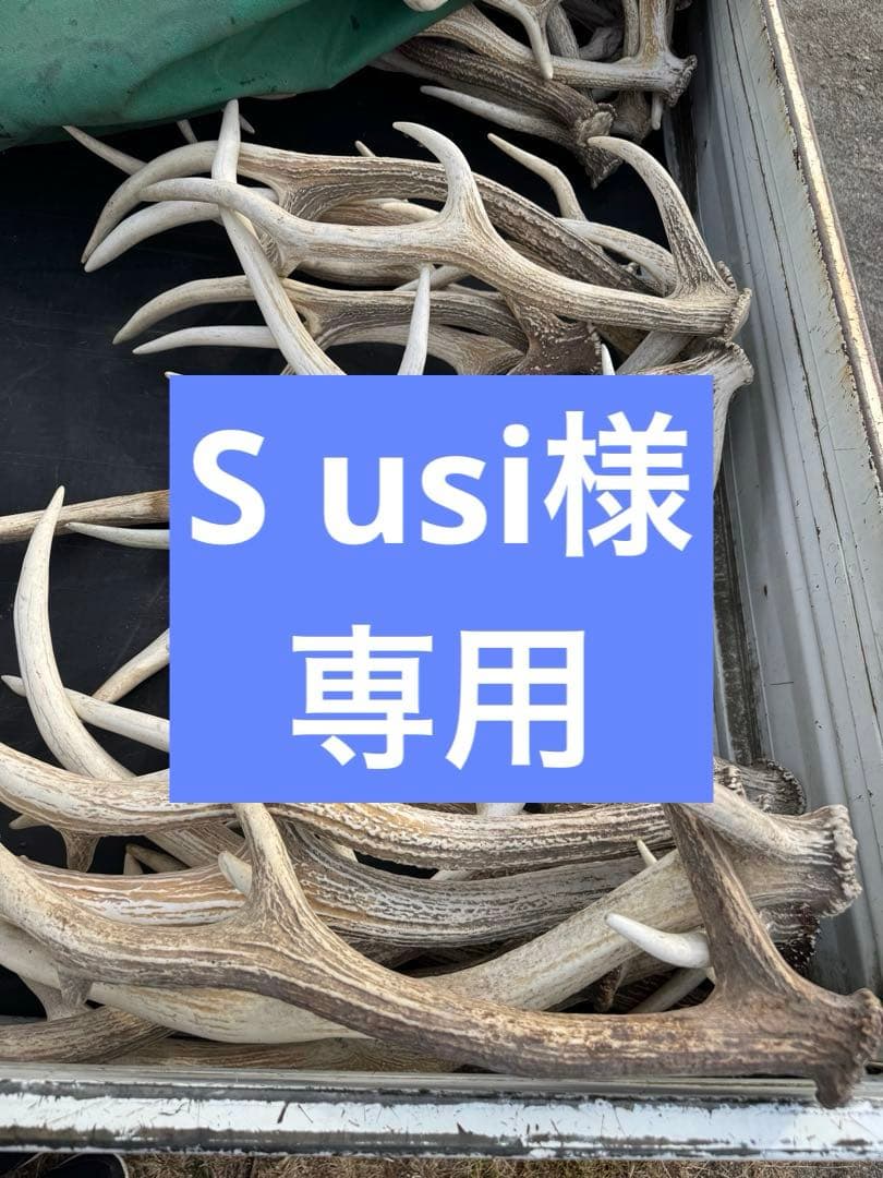 鹿の角 ハンドメイド素材 複数