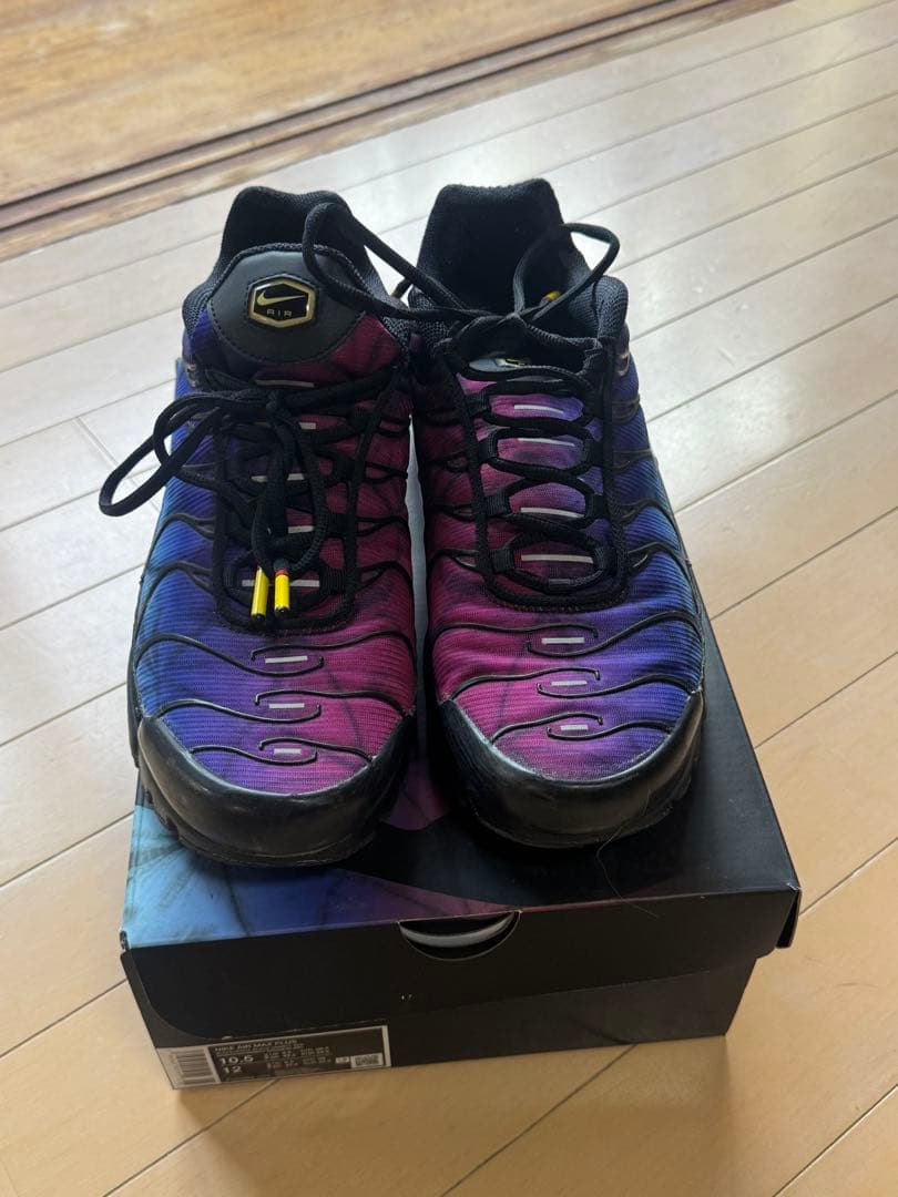 Nike Air Max Plus 紫黒