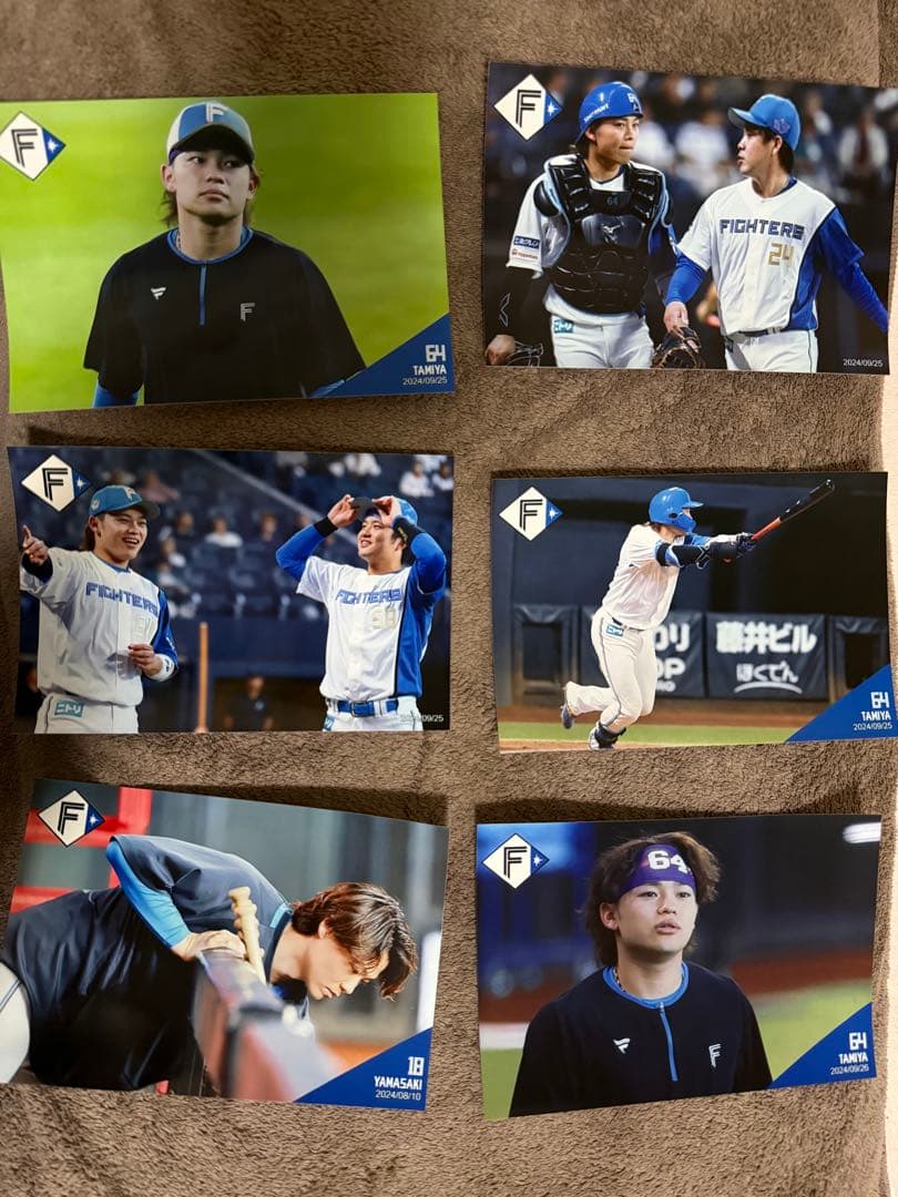 田宮裕涼 山崎福也 訳あり含む ハイライトフォト 53枚