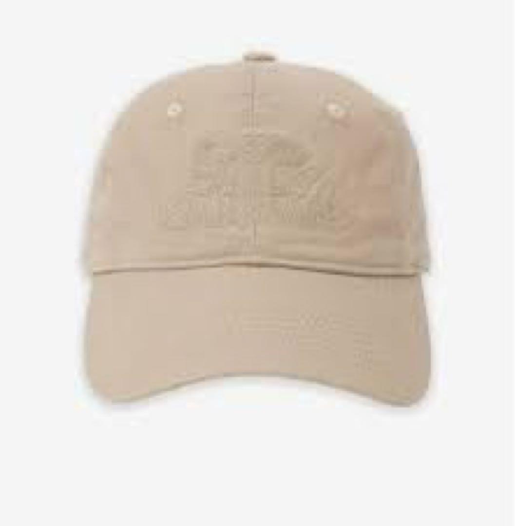 【お値下げしました‼️】 岩田剛典　GOD ONLY KNOWS キャップ 新品