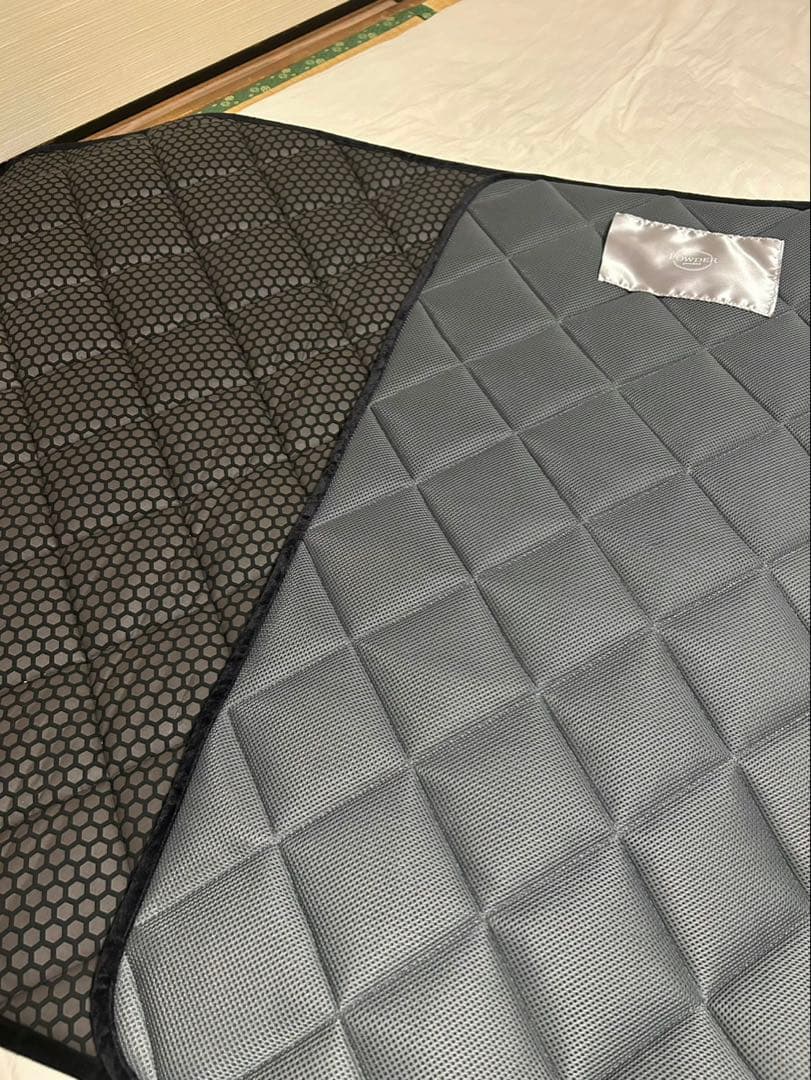 【バイオパウダー付】カーリスパッド 大 テラソフト