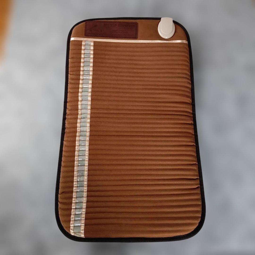 【ジャンク品】リッチウェイ バイオマット ミニ Richway BIO-MAT