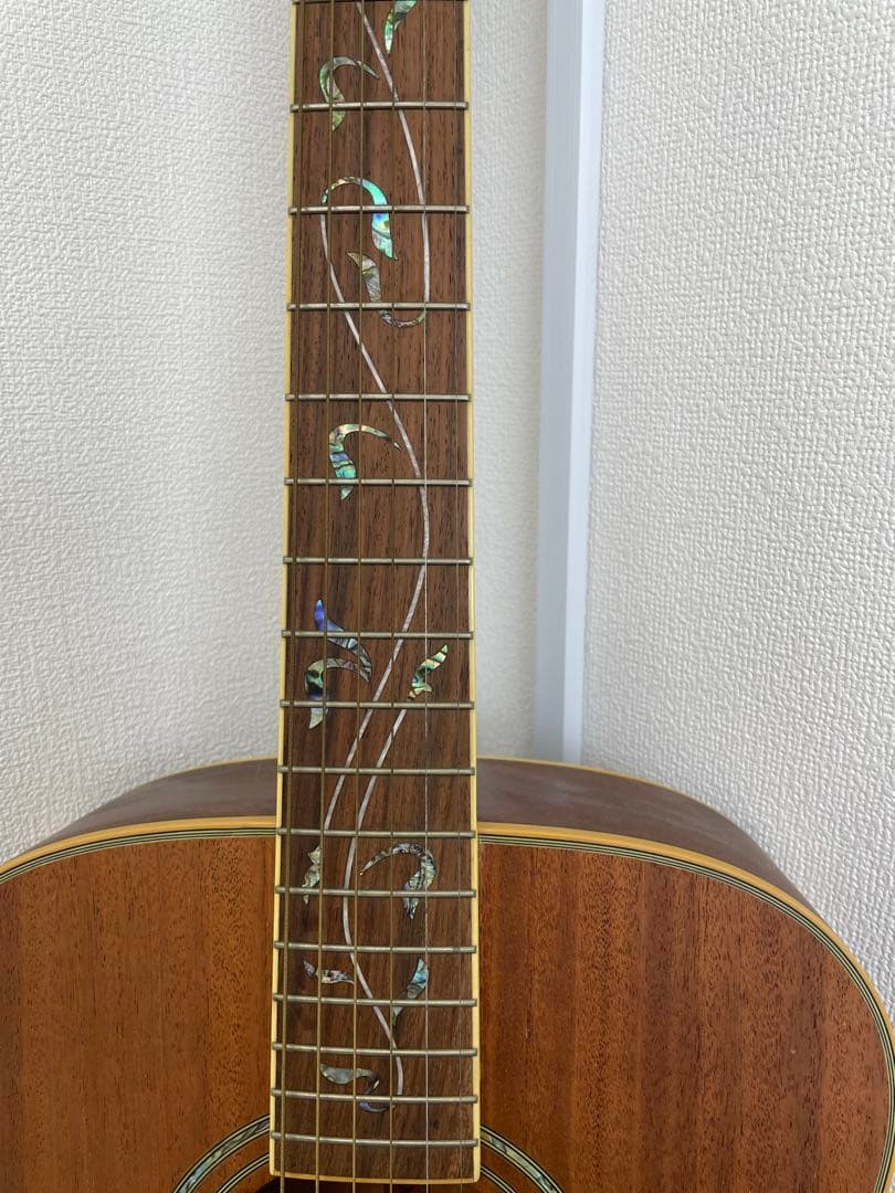 E】Ibanez Art Wood RLGツリーオブライフインレイ ギター - メルカリ