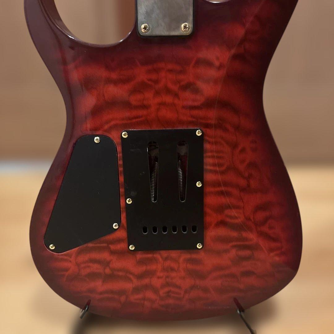 初心者です様専用】金ロゴ FERNANDES トレモロアーム付・新品弦張替済