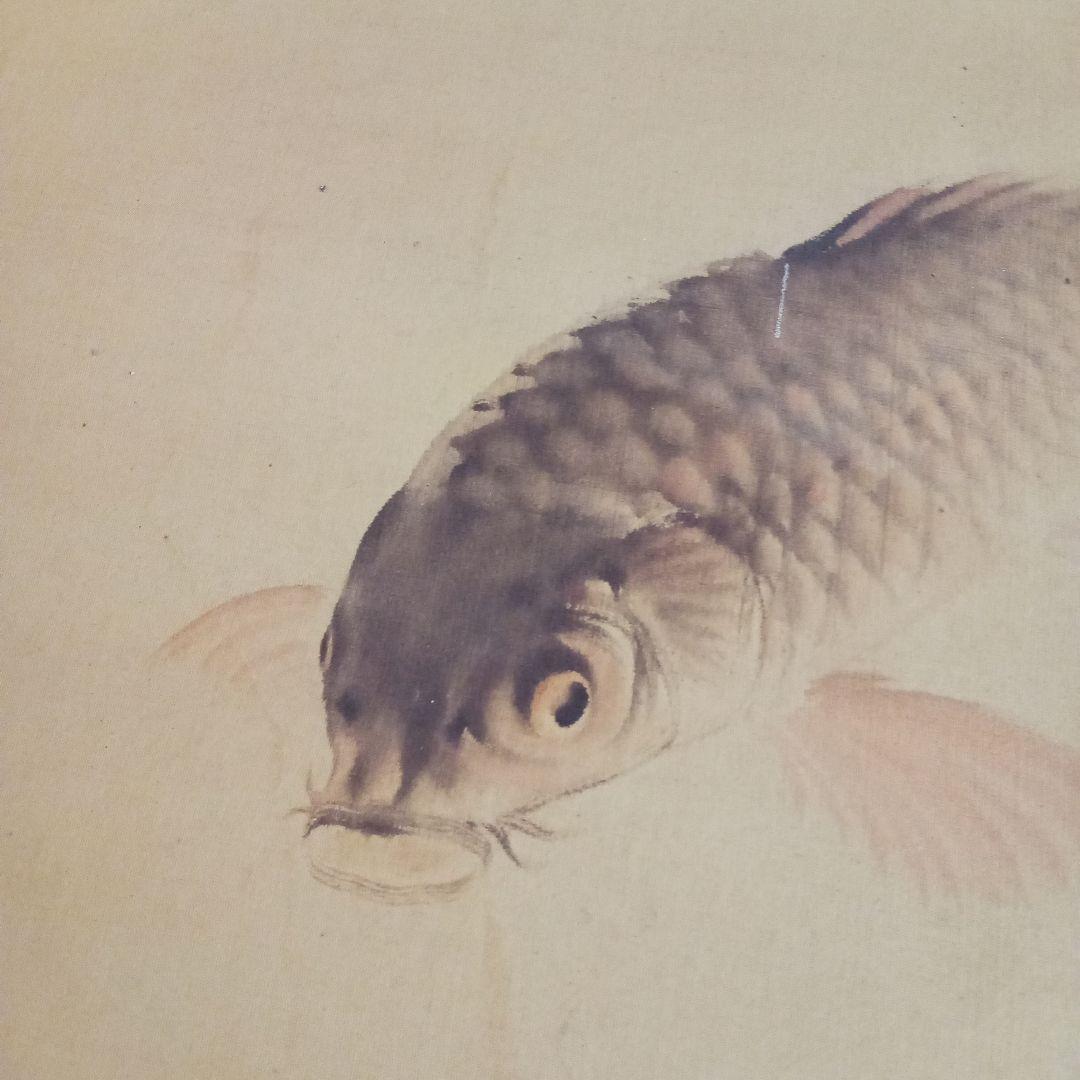 真作】 名品 ( 鯉の光達 ) 森田光達 ( 遊鯉 ・ 箱付属 )