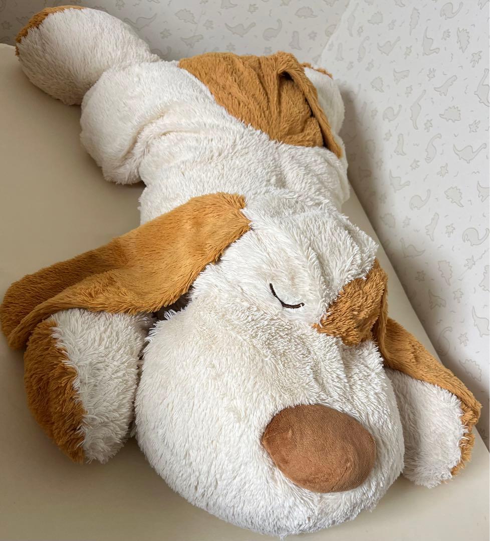 廃盤 ニトリ ブチ犬タロー 犬 ぬいぐるみ 大谷翔平 愛用 抱き枕 - メルカリ