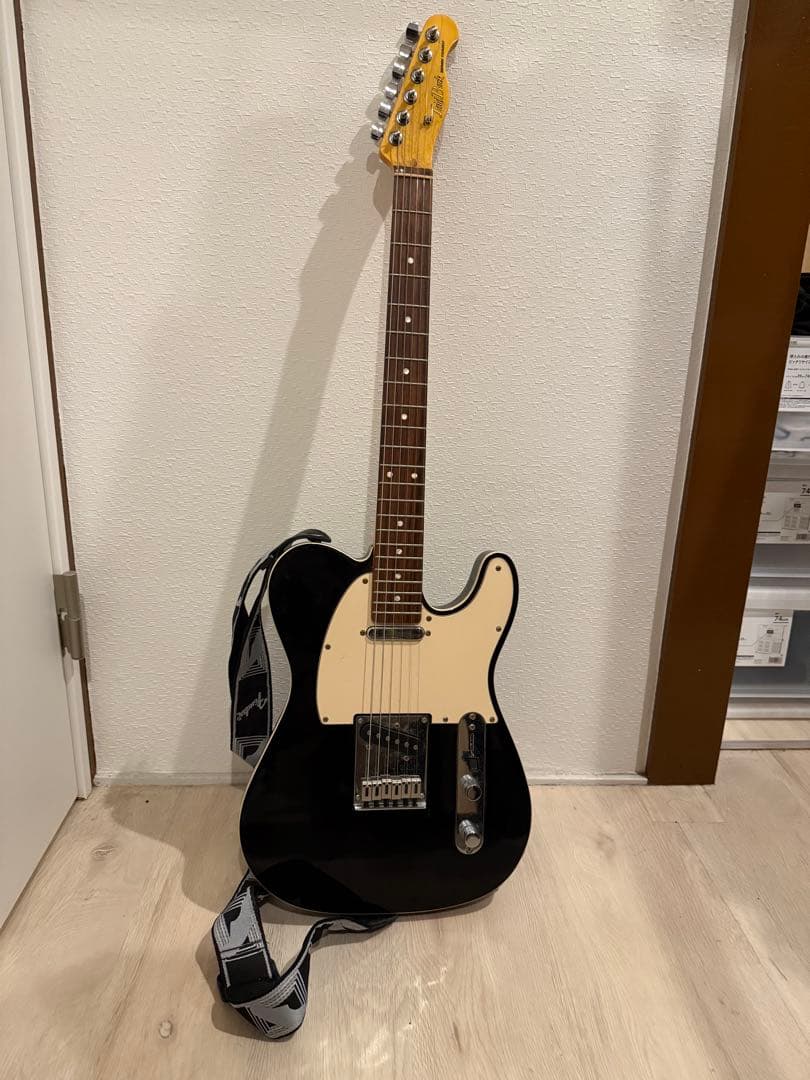 Laid back レイドバック　テレキャスター　LTE-5R