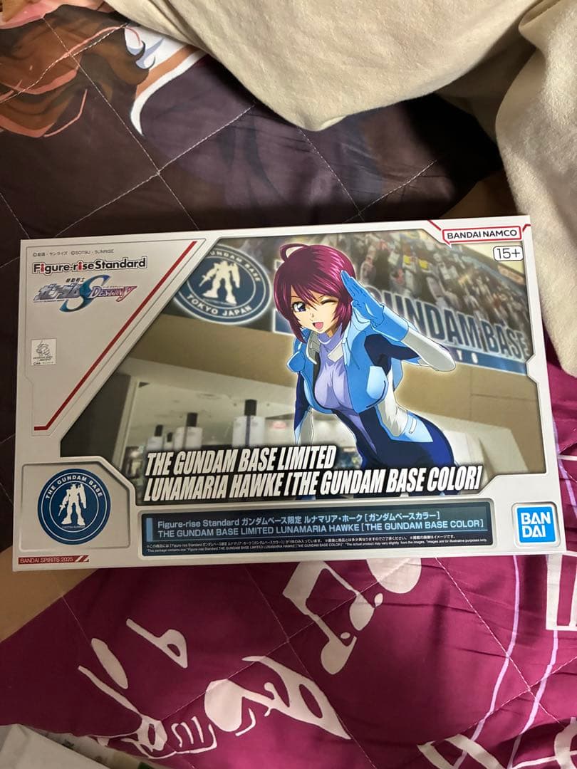 HG クスィーガンダム クリアカラー Ξガンダム、入場特典 ルナマリア