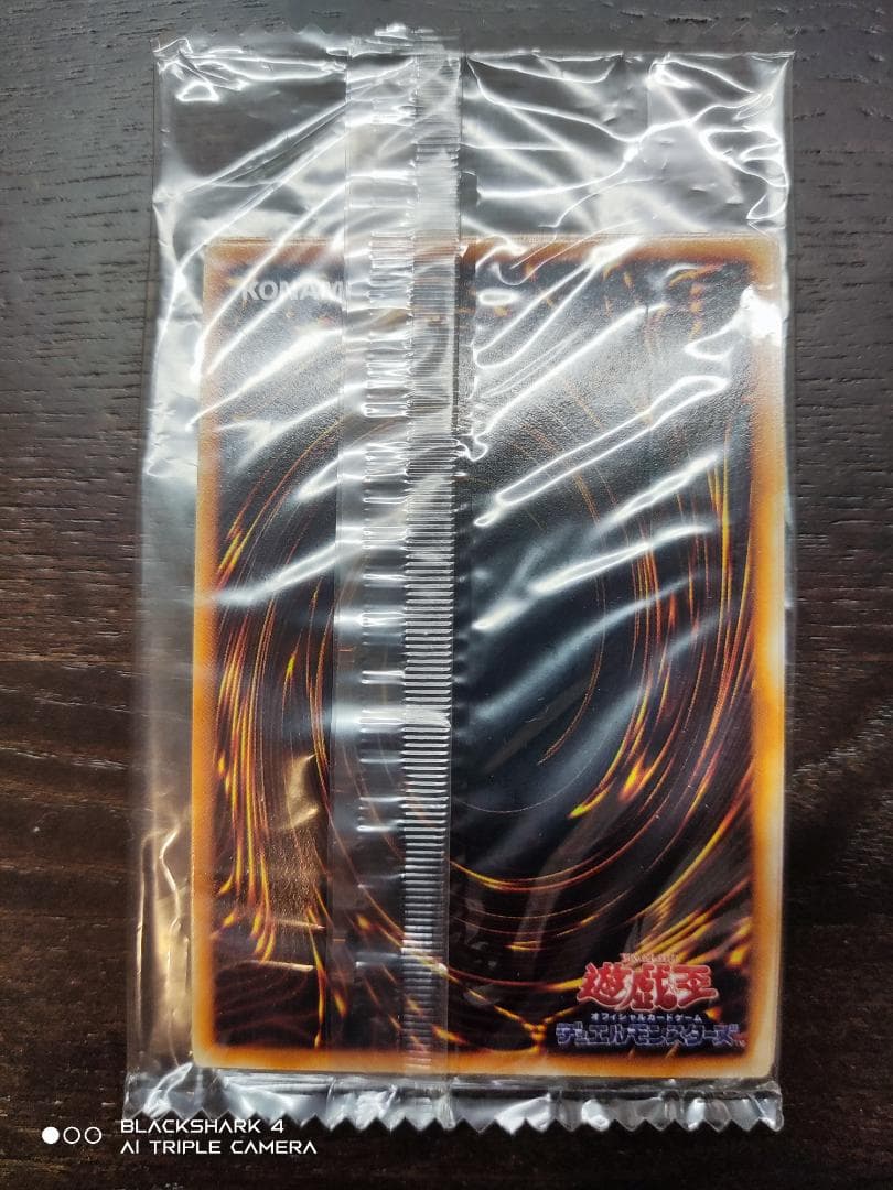 遊戯王 封印されし記憶「レッドアイズ・ブラックメタルドラゴン」未