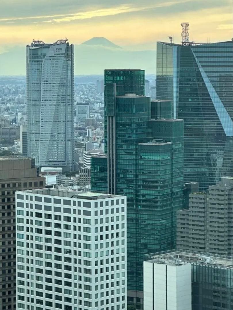 ご依頼のお品物です Z/X -Zillions of enemy X- | 商品一覧 | TCG / サプライ | 株式会社