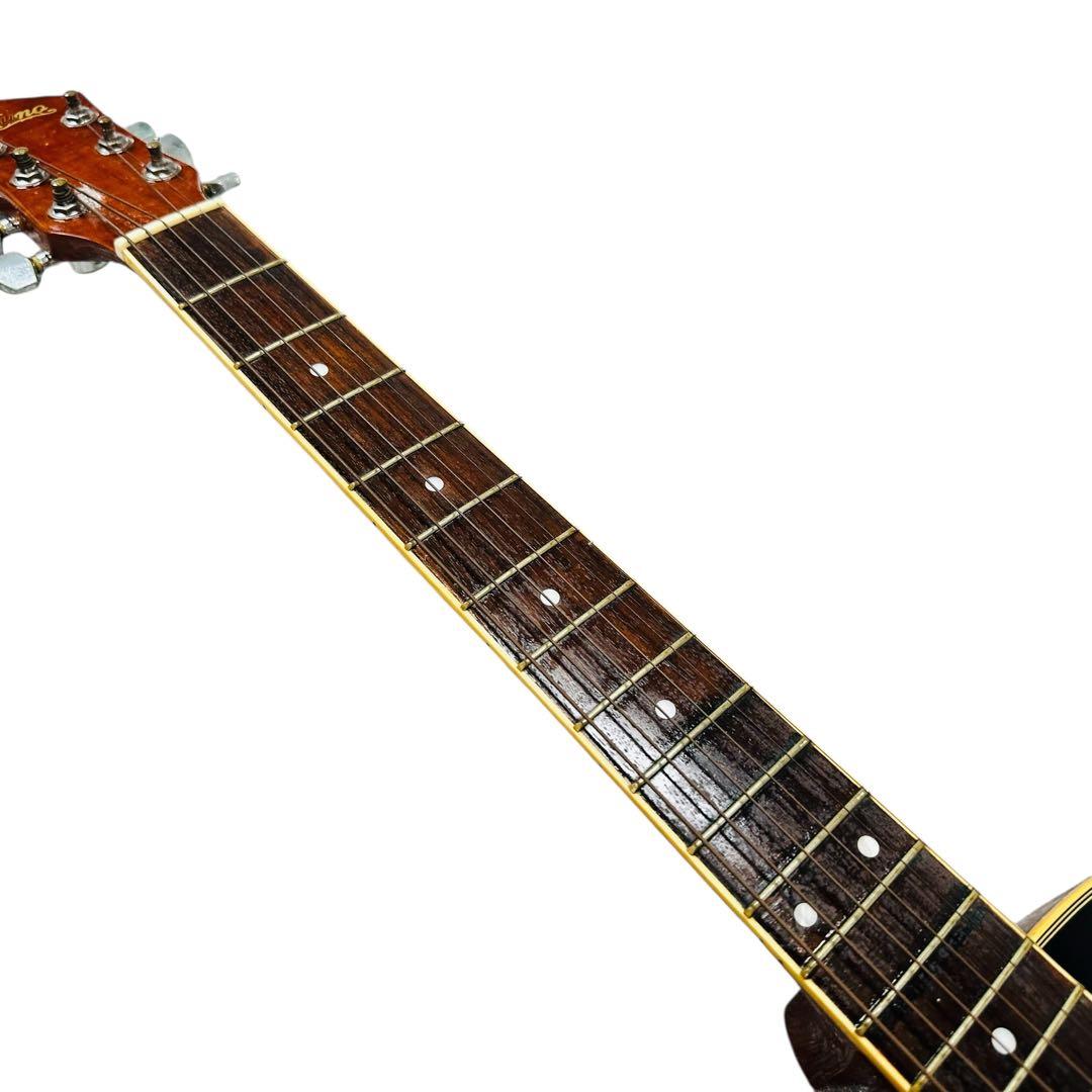 JUNO アコースティックギター JN-IS