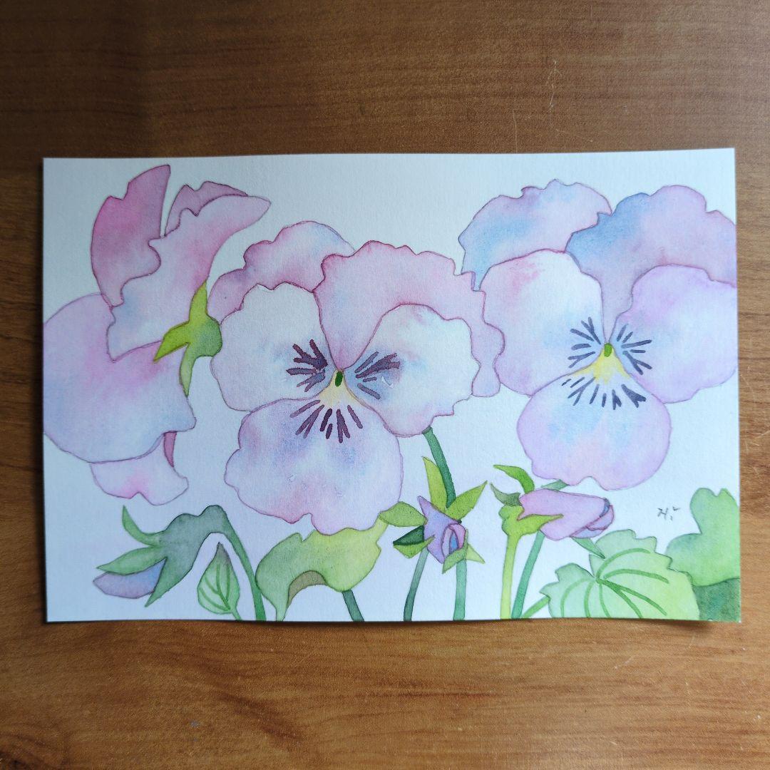 かわいいパンジー（水彩画）（原画） - メルカリ